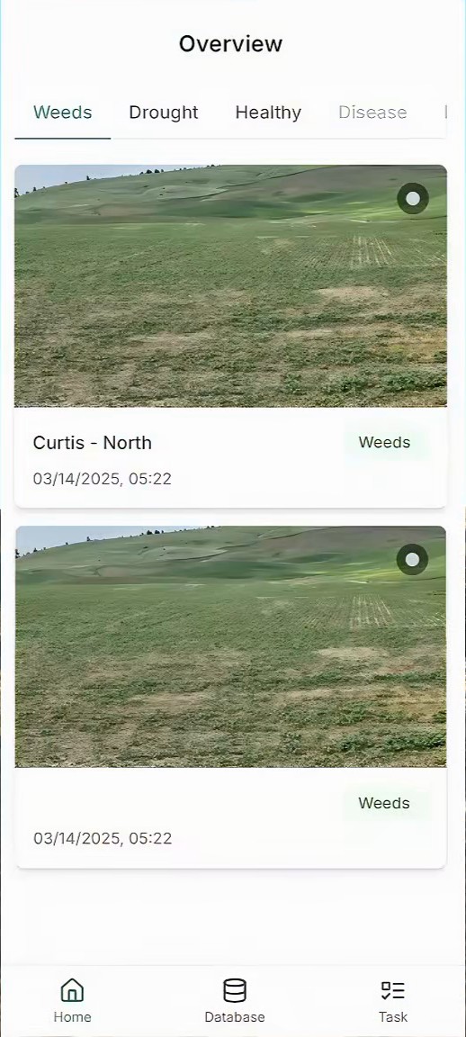Shipped overview screen with tabs for weeds, drought, healthy, and disease, and photo cards labeled with field name, time, and tag