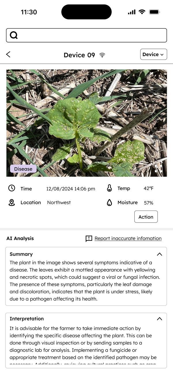 Earlier detail screen with long paragraphs of AI summary and interpretation