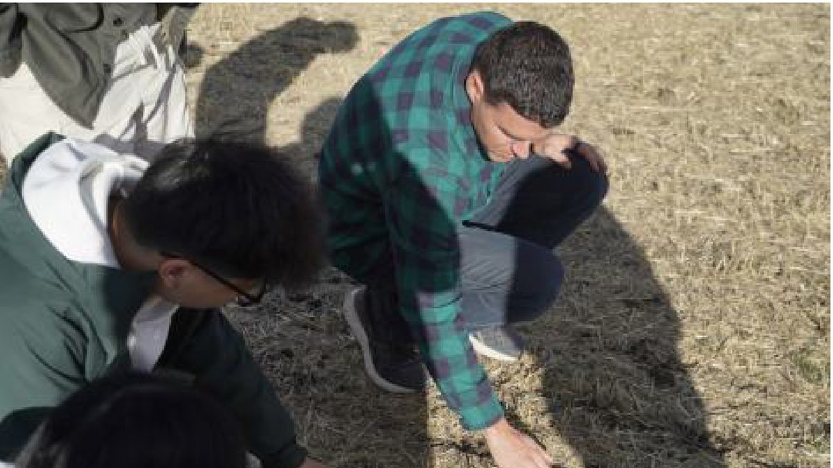 Team members crouching in a field to inspect crops with a farmer